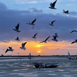 Throw a Name in the River Thames